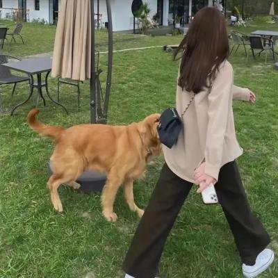 归还世界给你