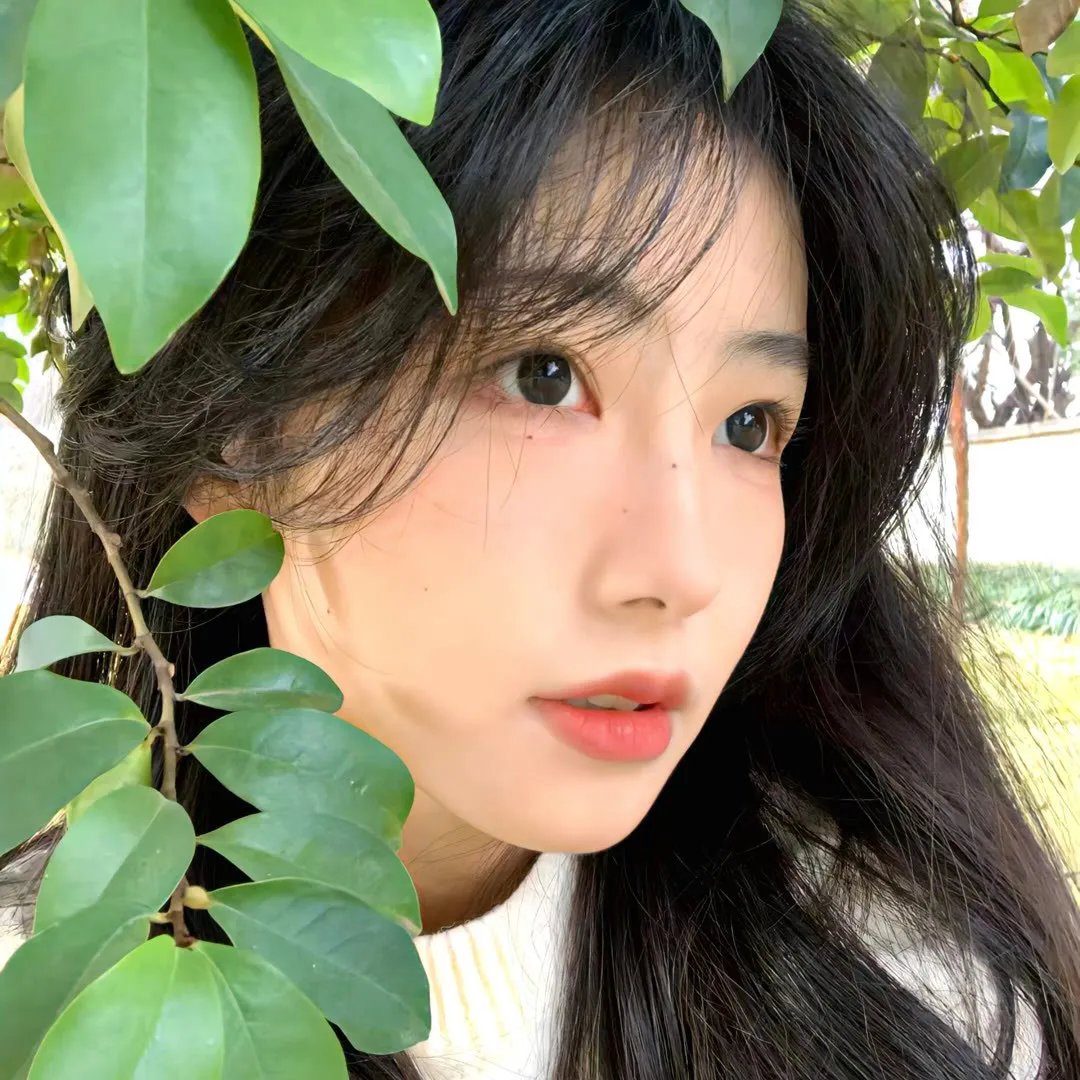 夜凛神探第一季